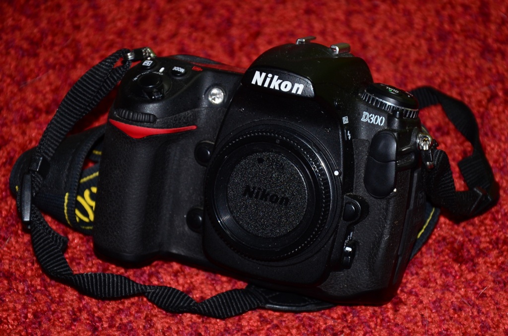 D300