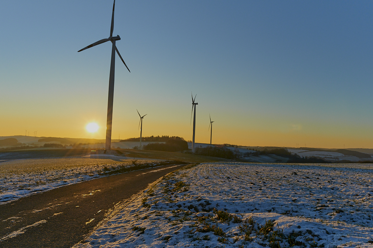 D30_8464Windrad am Morgen_web.jpg