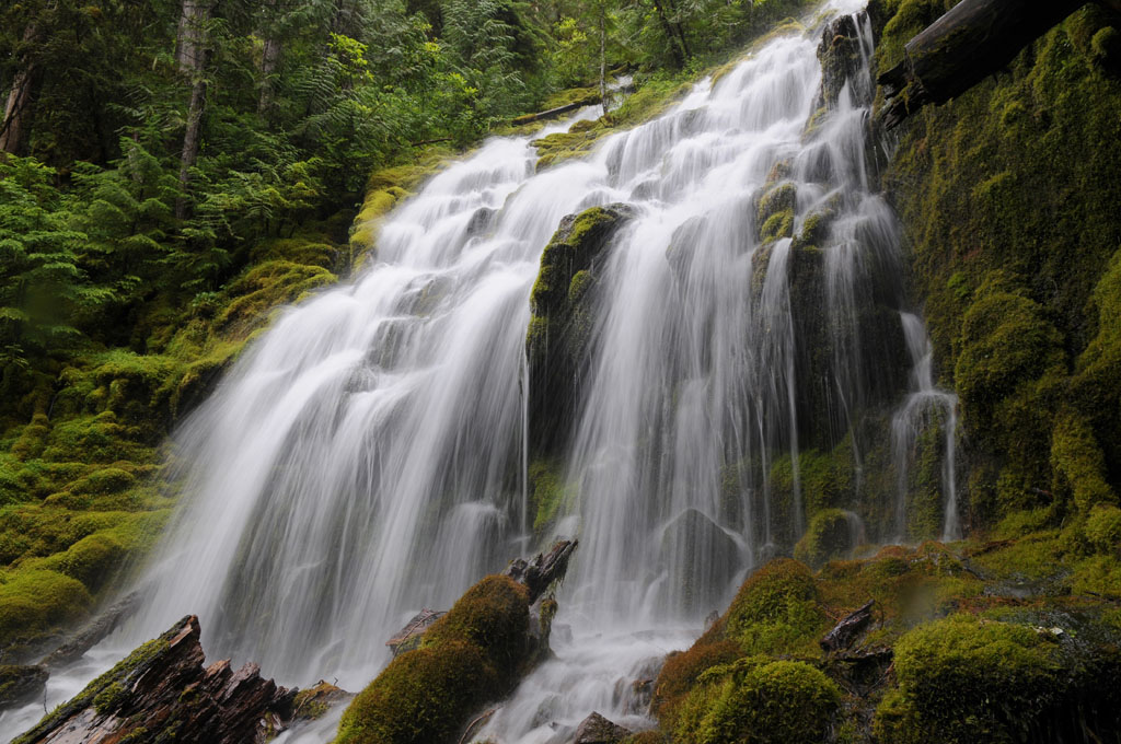 D33 9225 Upper Proxy Falls