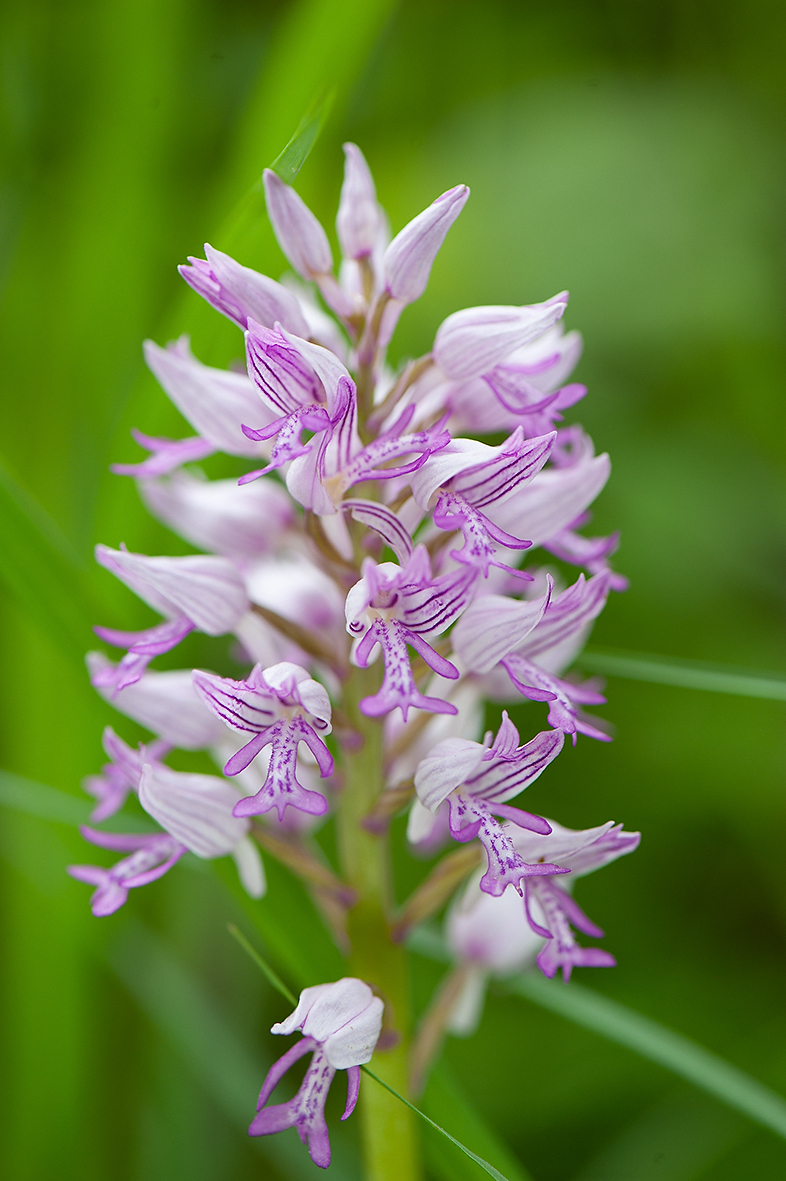 D3_RB130307_DSC8382_13x20.jpg