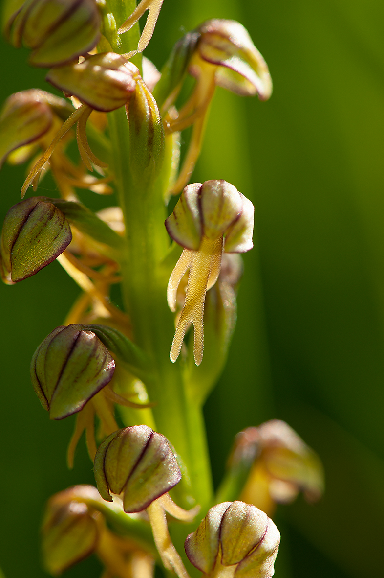 D3_RB152577_DSC1279_13x20.jpg