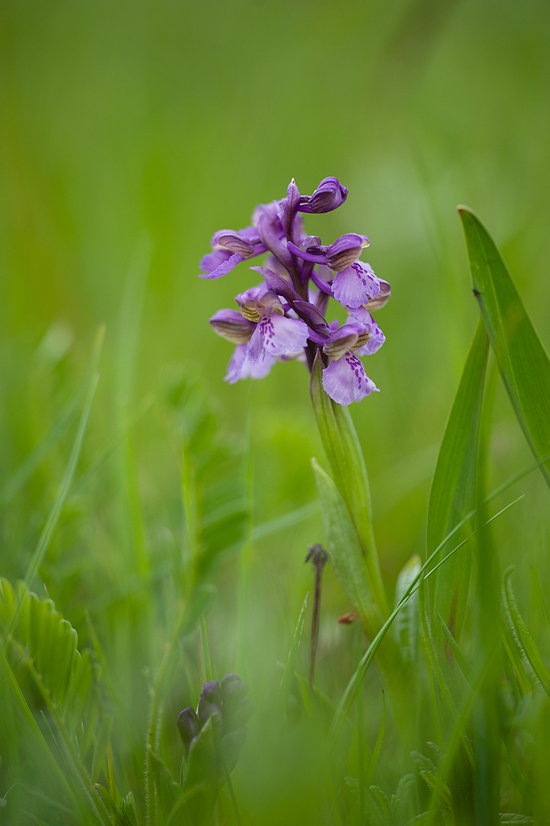 D3_RB163926_DSC2579_13x20.jpg
