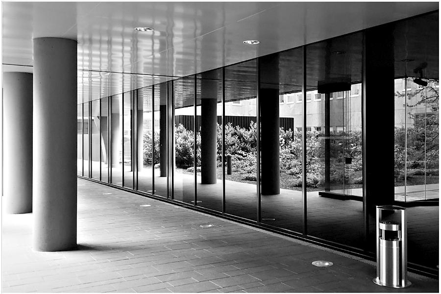 D3C 6389 cs3 R bw(3) 900x600