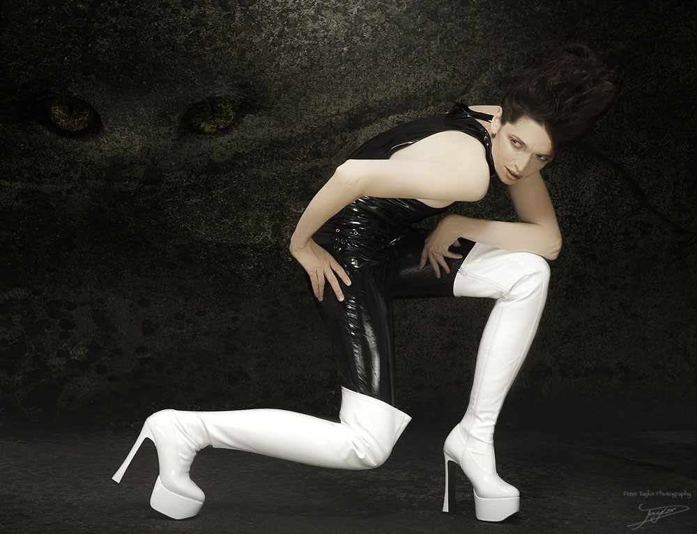 D3H 0269a MK