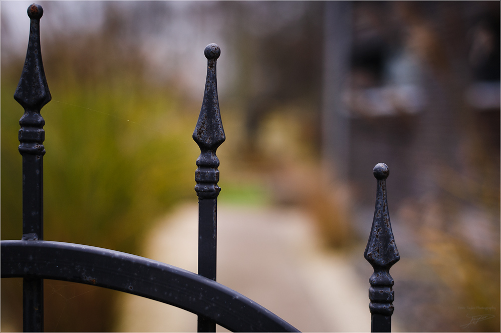 D3H 6918 web