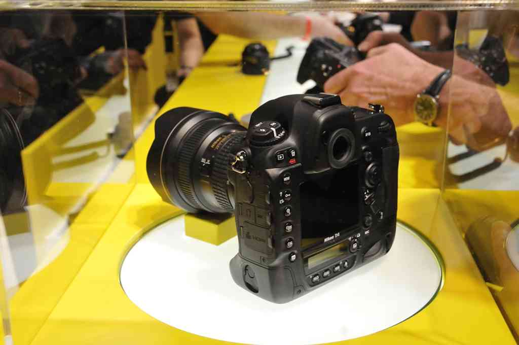 D4 von hinten