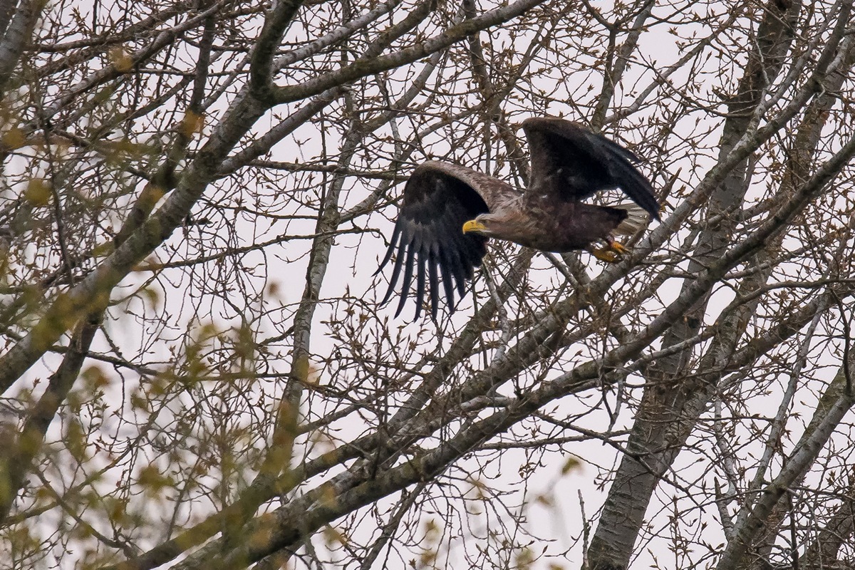D50 0567 Abflug IA 5 2017