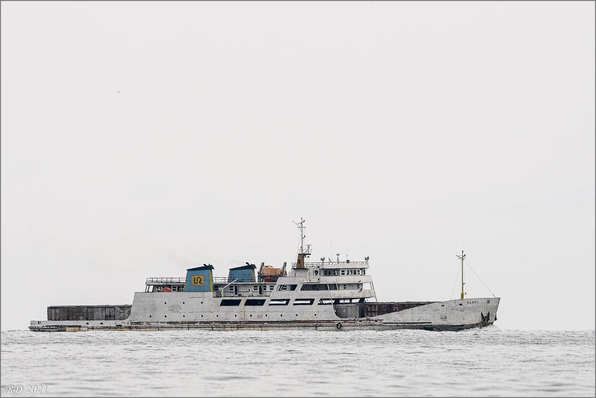 D50_0138.jpg
