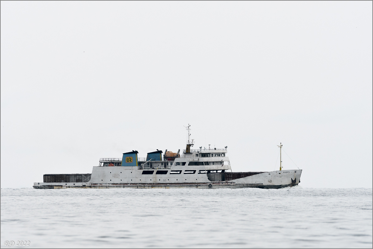 D50_0138.jpg