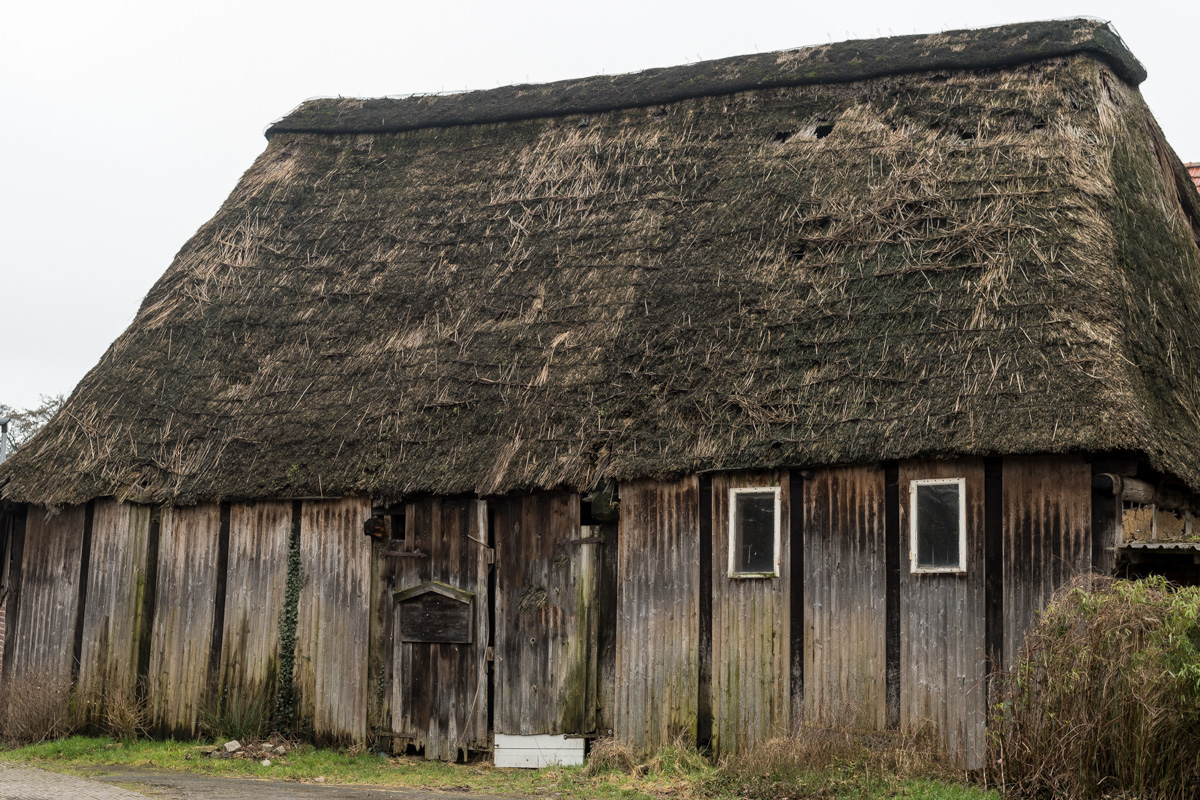 D50_0569-Bearbeitet.jpg