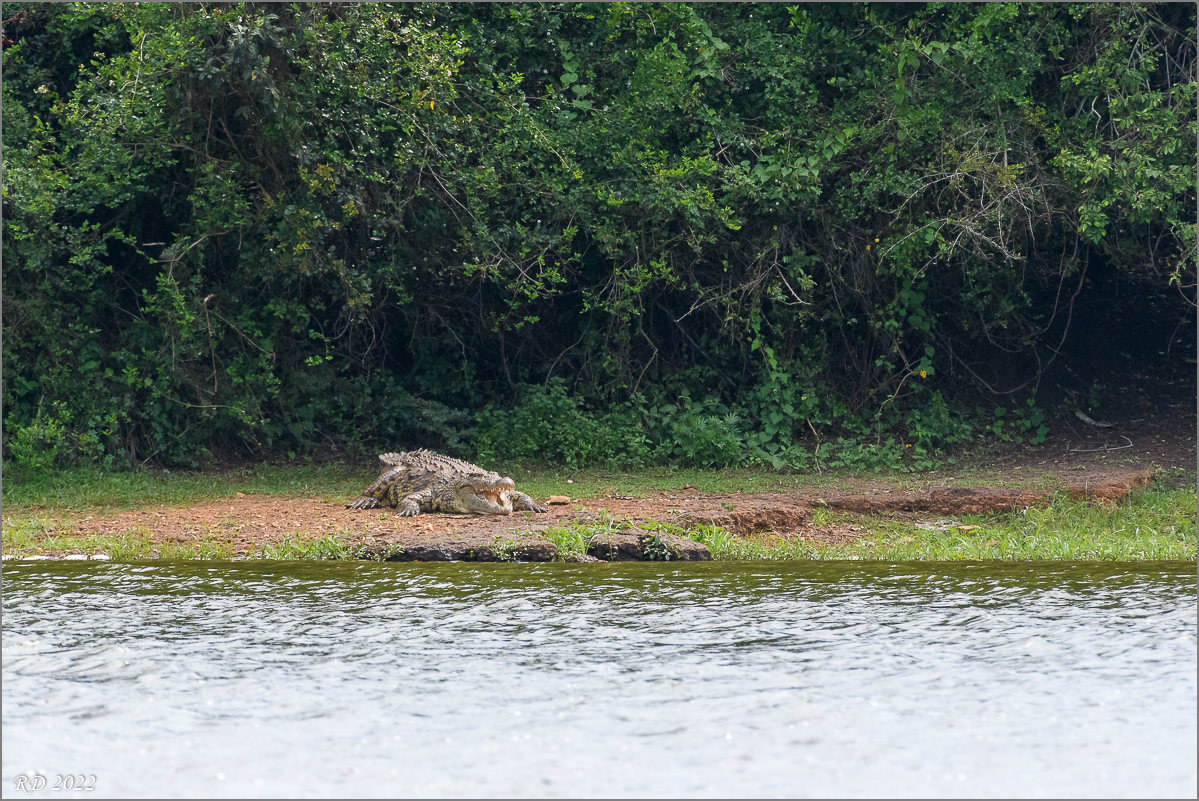 D50_1059.jpg