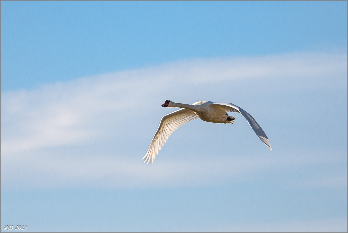 D50_1361.jpg