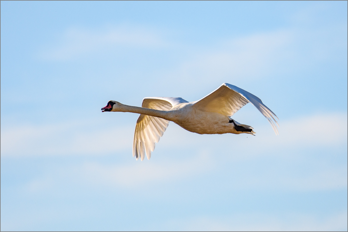 D50_1378.jpg