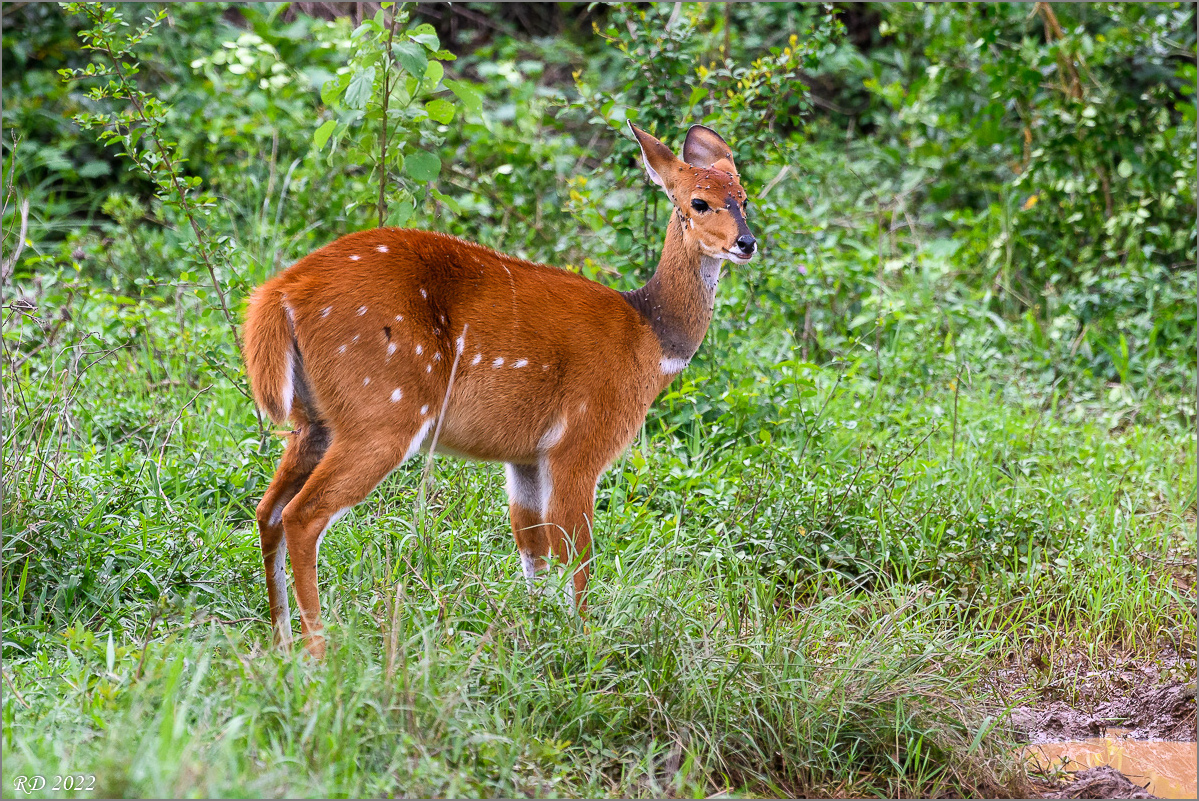 D50_1382.jpg