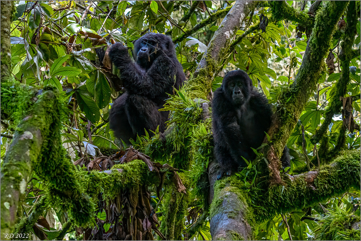 D50_1666-Bearbeitet.jpg