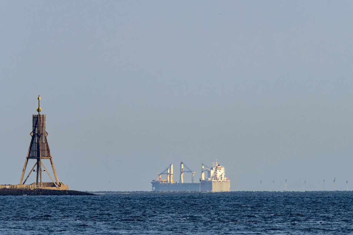 D50_2407-.JPG