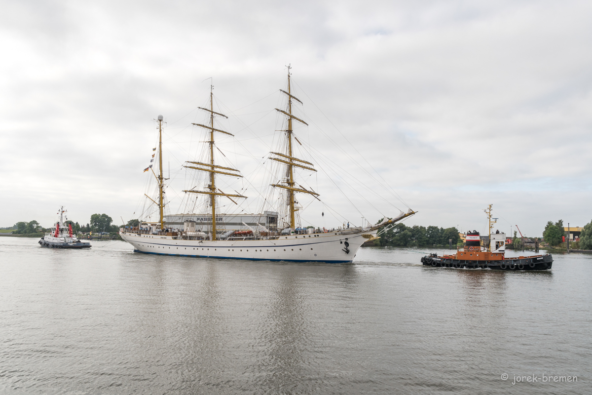 D50_2737.jpg