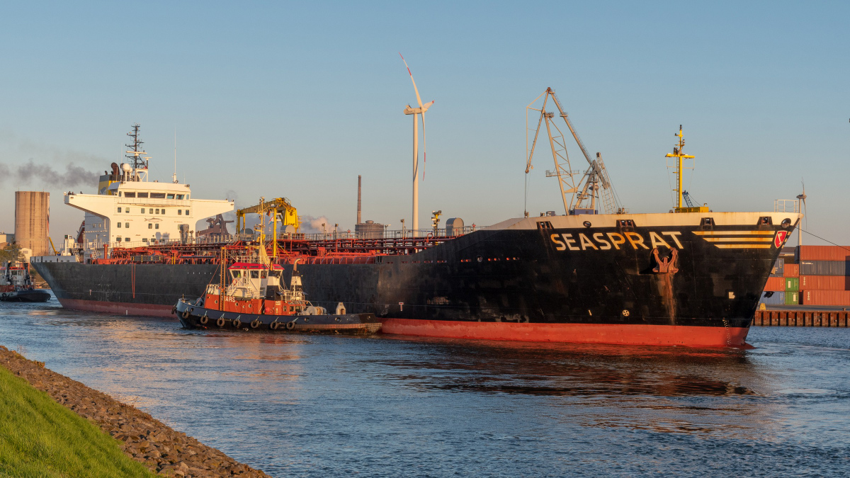 D50_3429_460#.JPG
