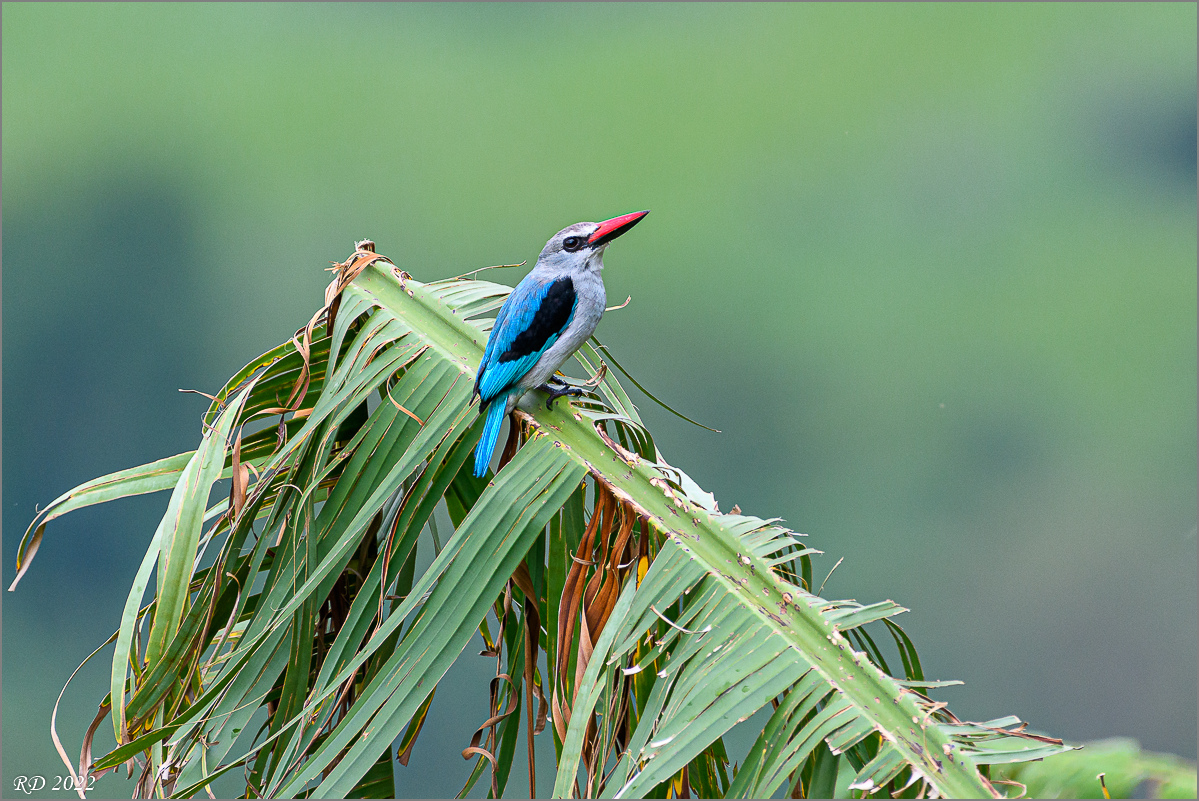 D50_3553.jpg
