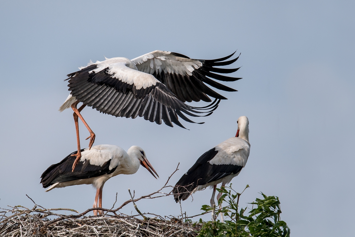 D50_3861_gerade jetzt guckt mama nicht hin_IA_6_20199.jpg