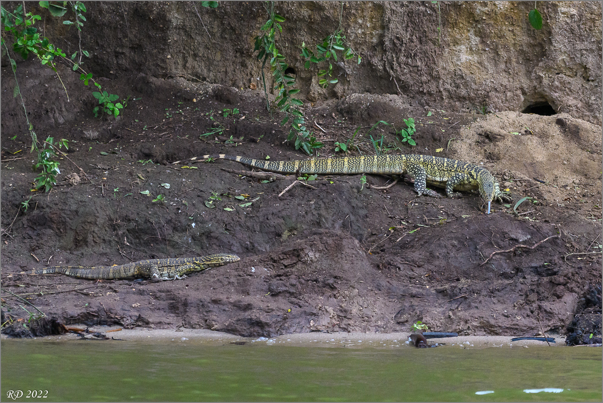 D50_3872.jpg