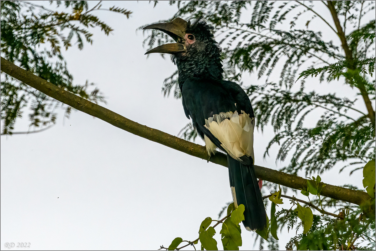 D50_4269-Bearbeitet.jpg