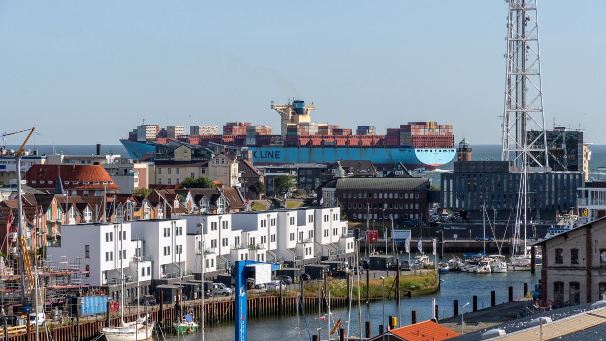 D50_4652.JPG