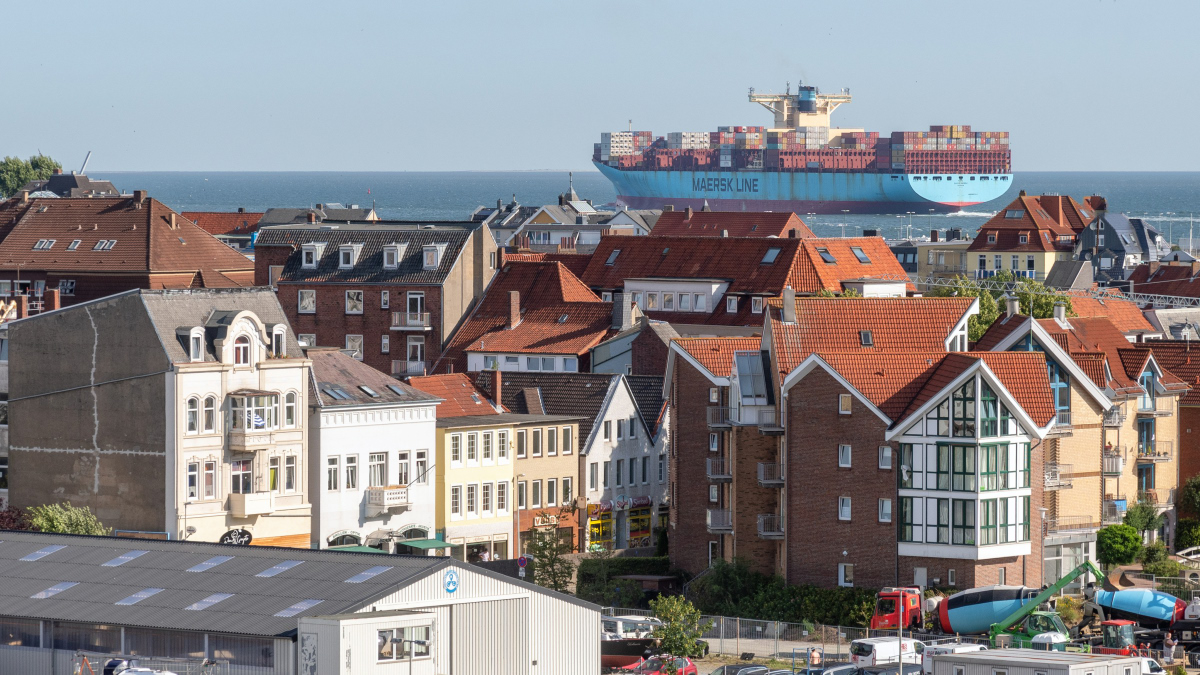 D50_4660.JPG