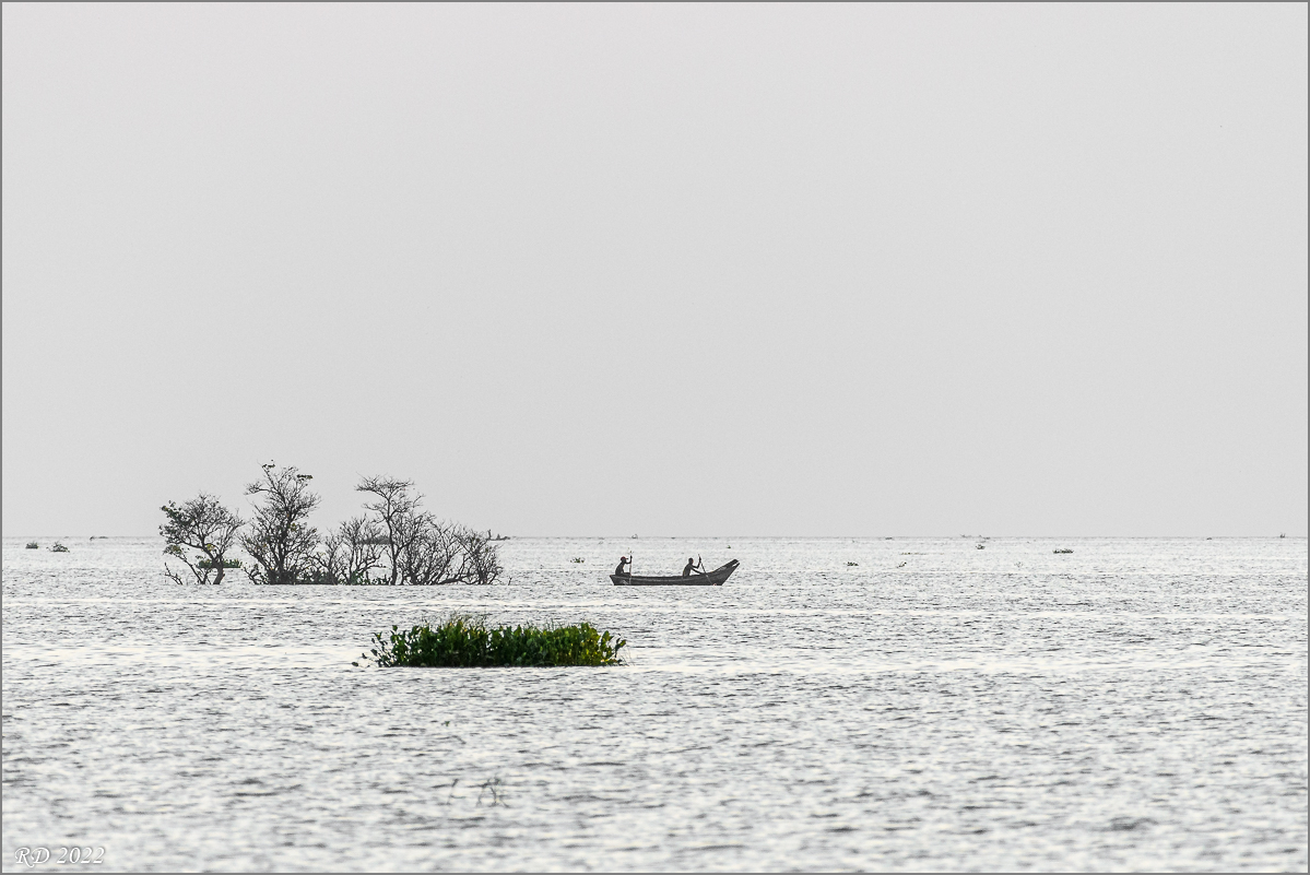 D50_4893.jpg