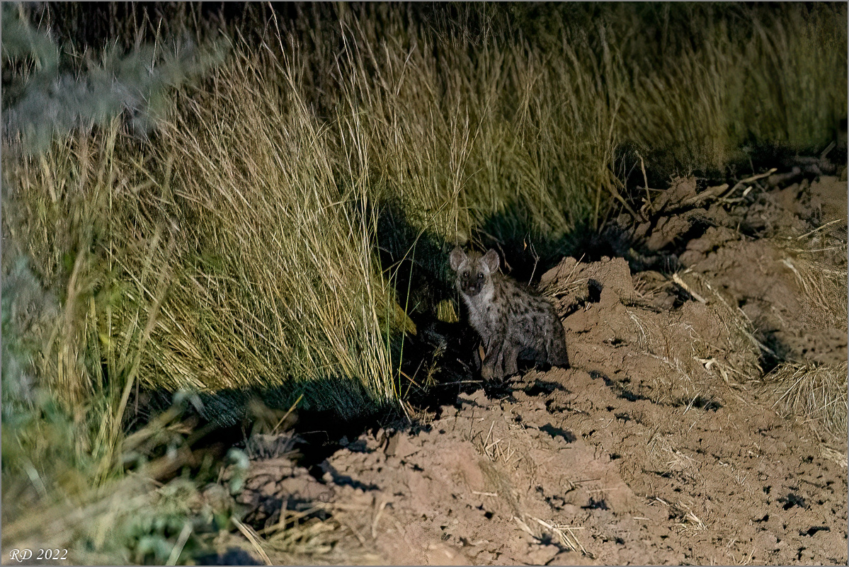 D50_4948-Bearbeitet.jpg