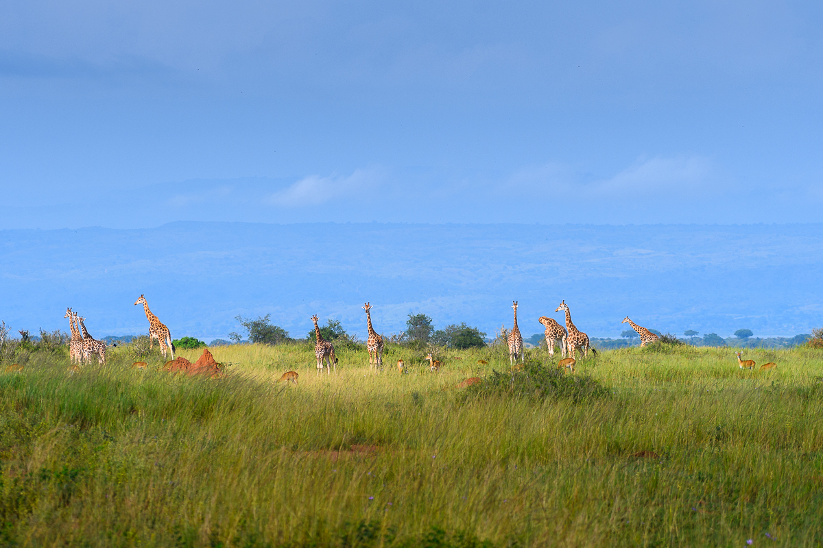 D50_5144.jpg