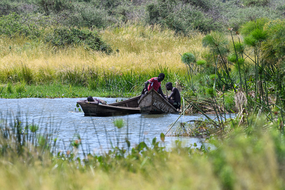 D50_5273.jpg