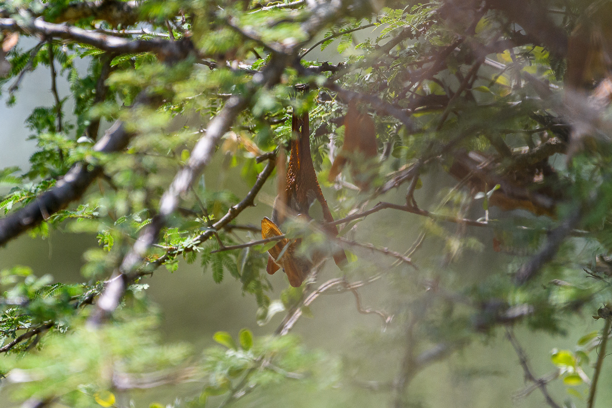 D50_5282.jpg
