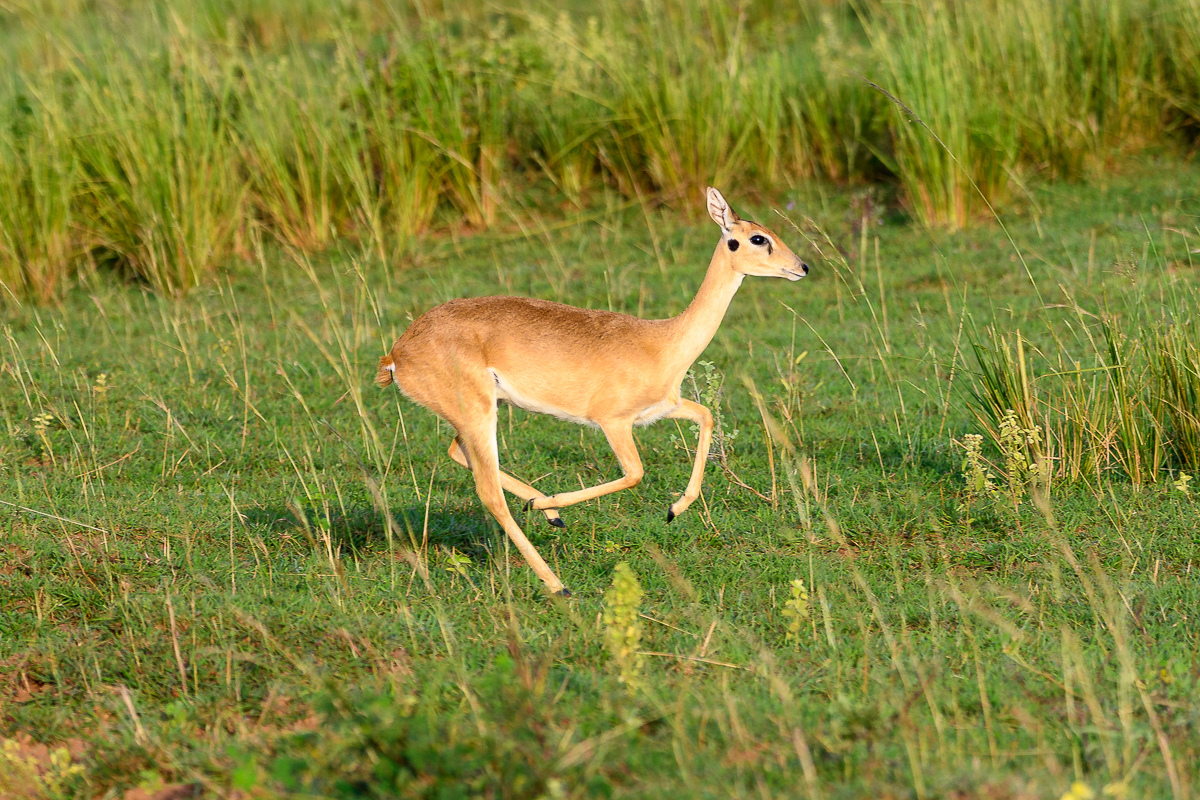 D50_5644.jpg