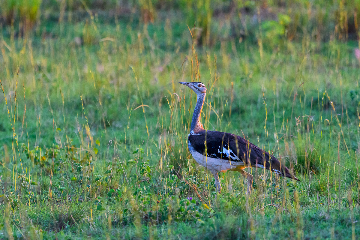 D50_5752.jpg