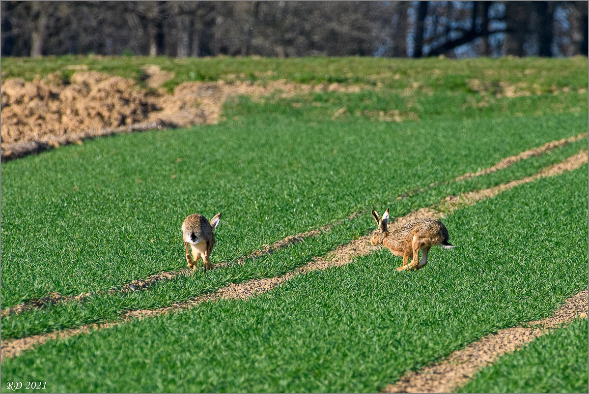 D50_7044.jpg