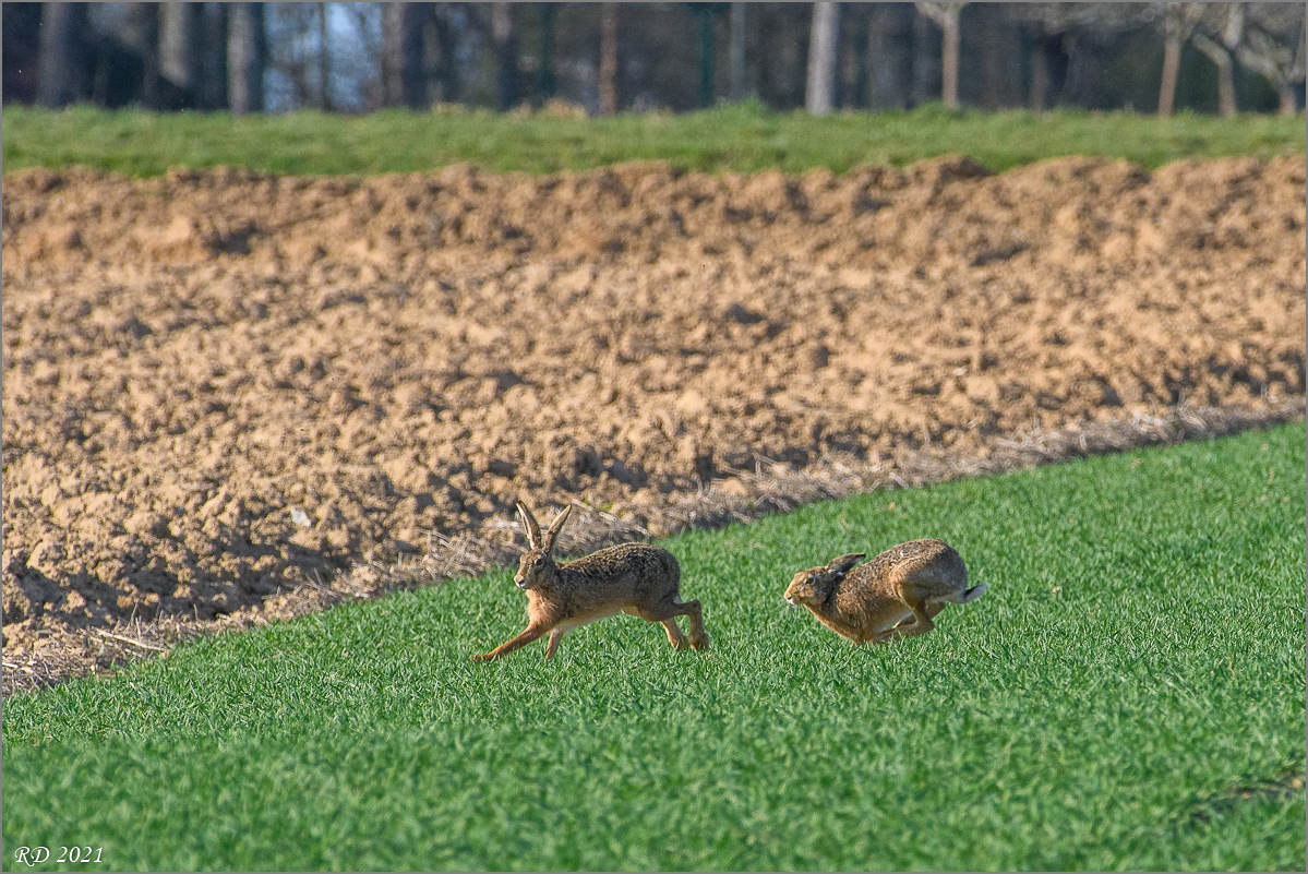 D50_7060.jpg