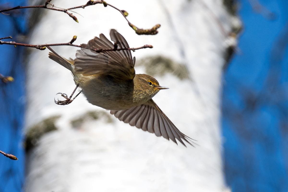 D50_7827_Zipzalp bei Abflug_IA_4_2022.jpg