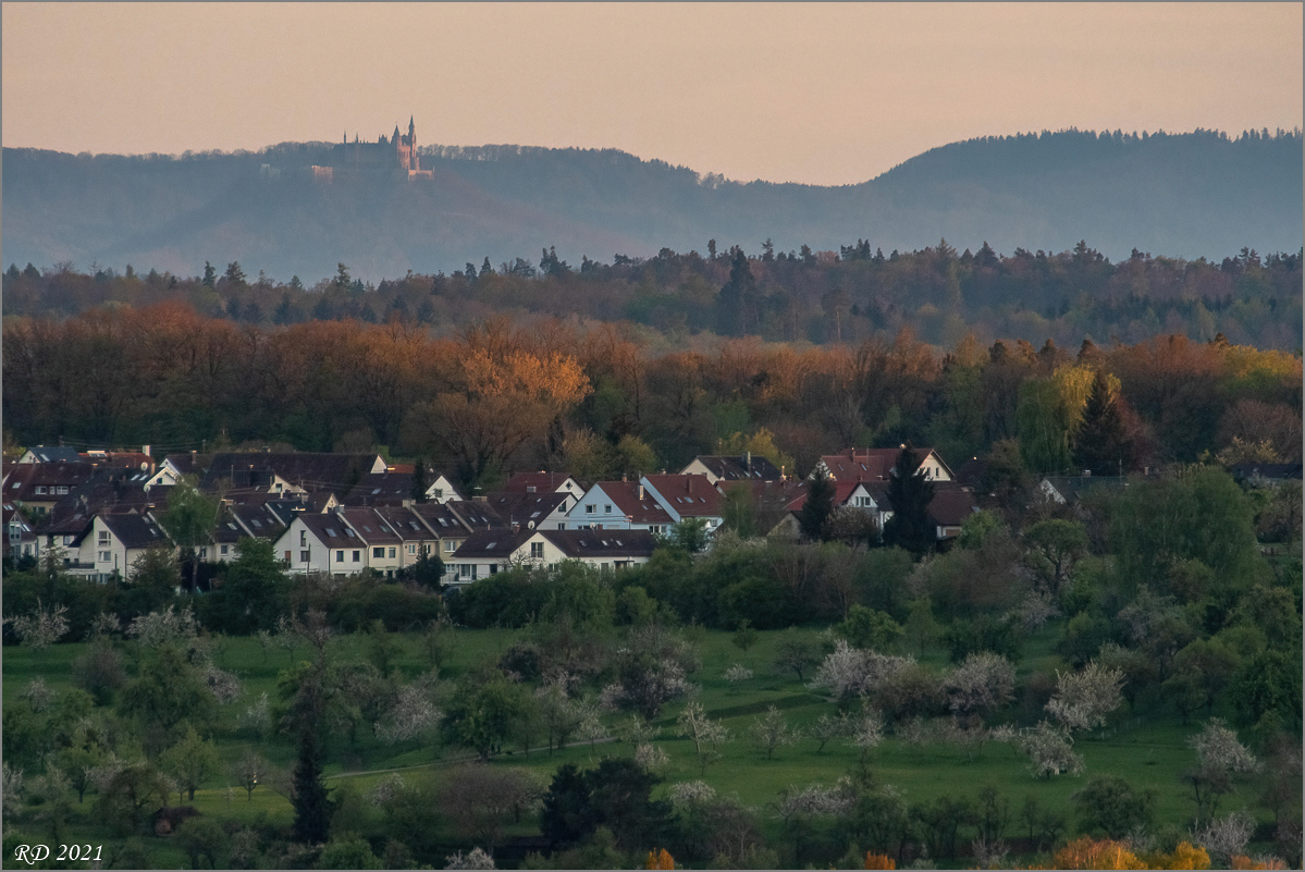 D50_8004-Bearbeitet.jpg