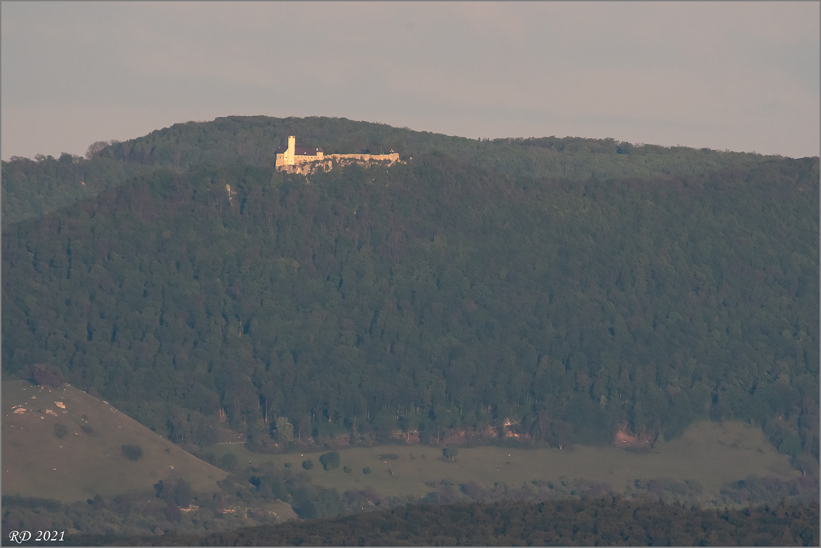 D50_8203-Bearbeitet.jpg