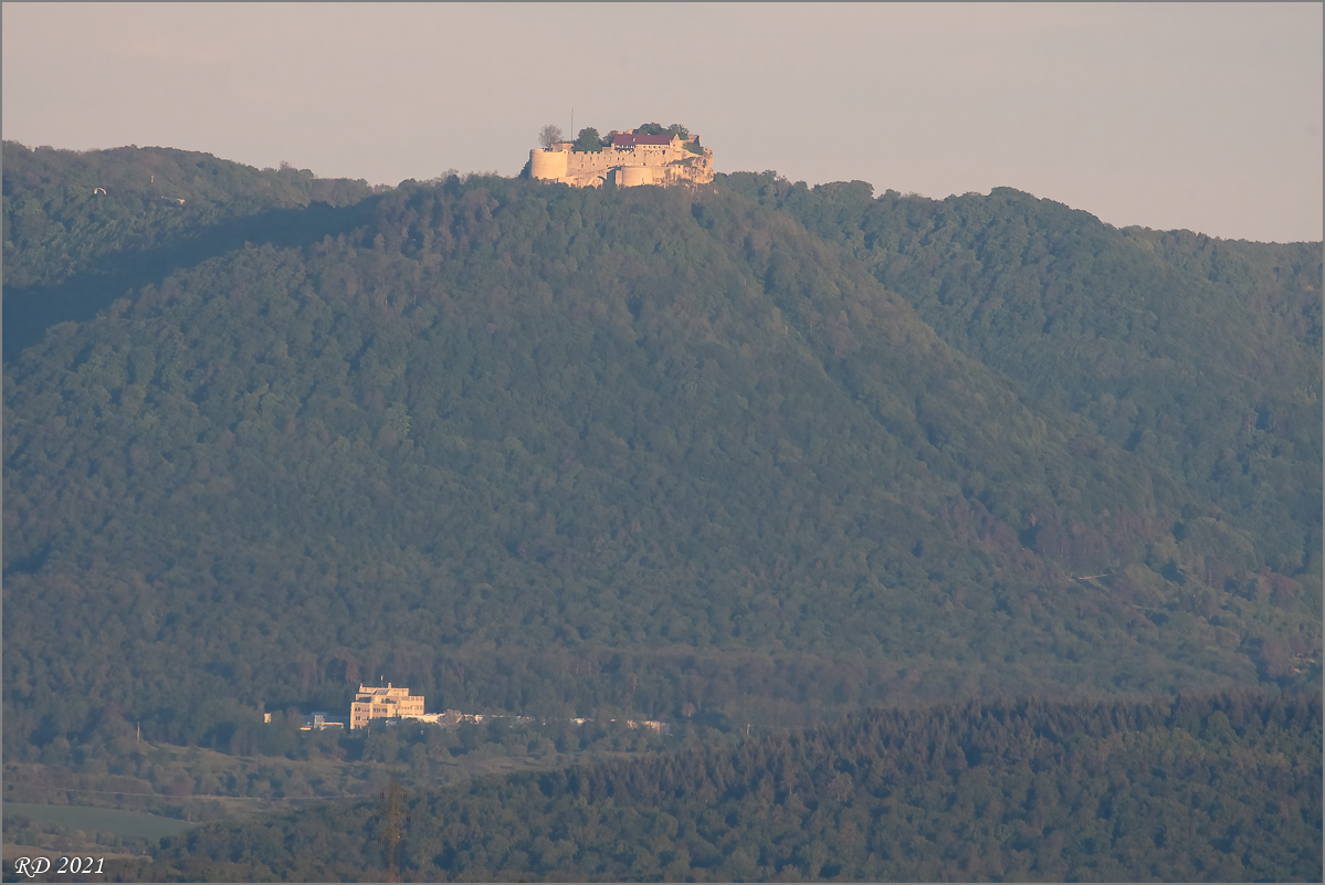 D50_8204-Bearbeitet.jpg