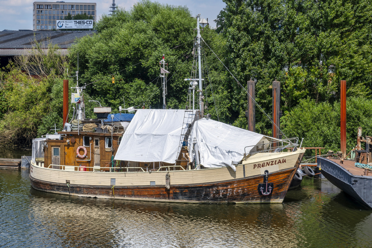 D50_8358_155#.JPG