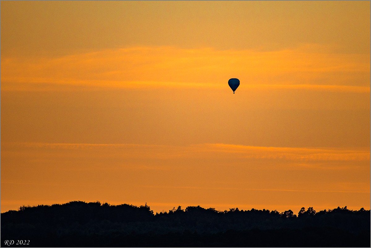 D50_8577-2.jpg