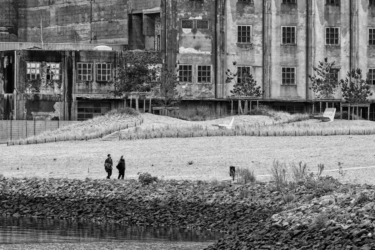 D50_8717##.JPG