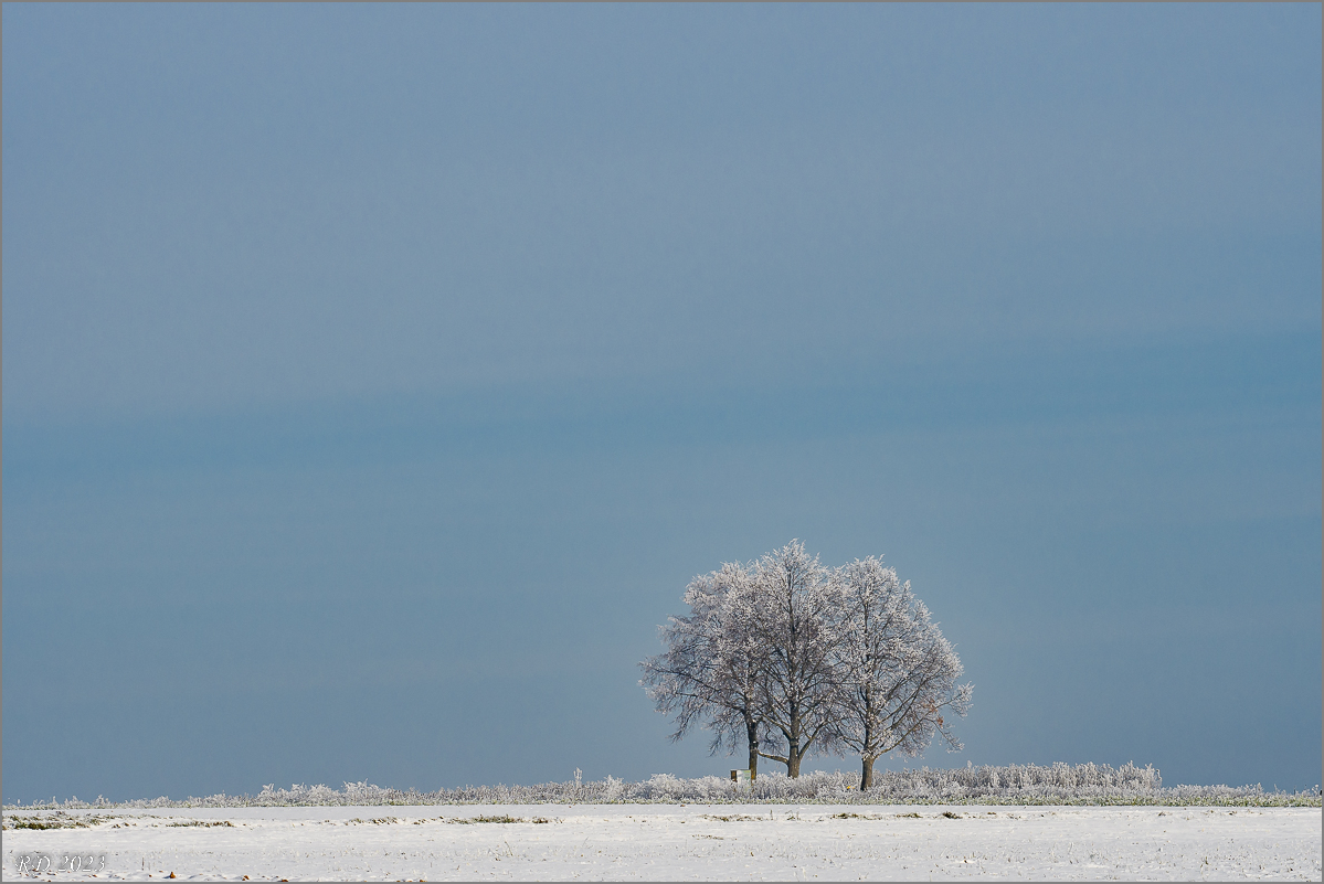 D50_8771.jpg