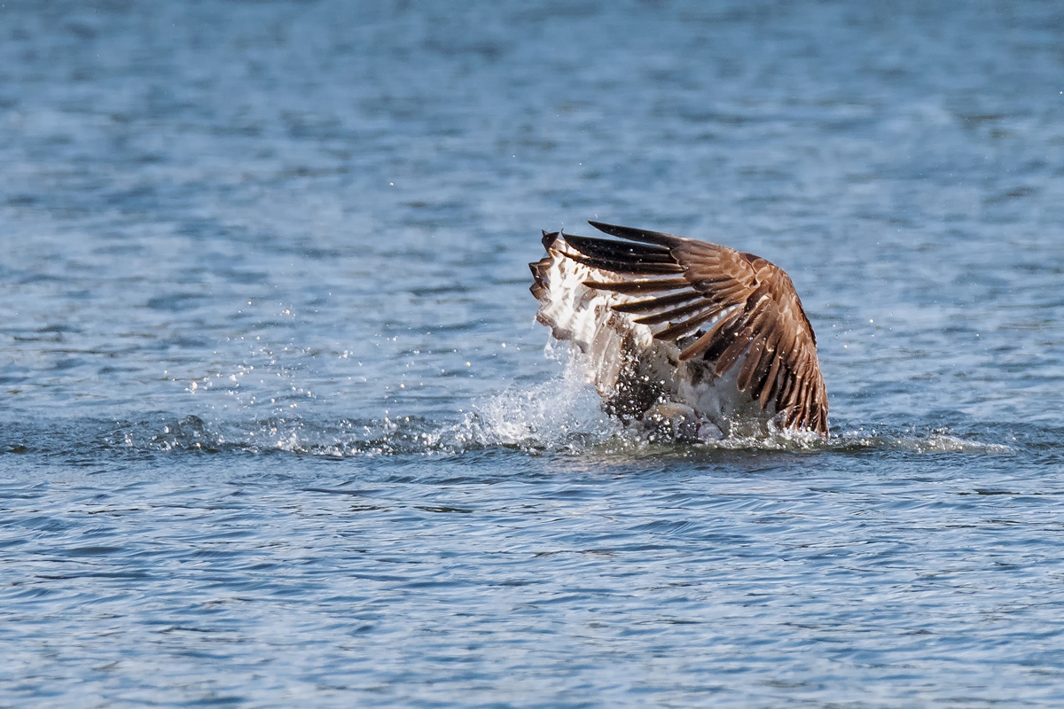 D50_9260_voller Einsatz_IA_9_2019.jpg
