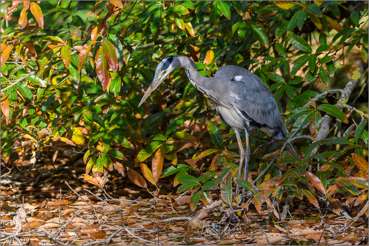 D50_9647.jpg
