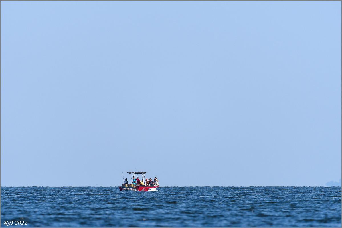 D50_9789.jpg
