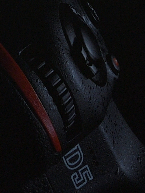 D5D 1599 crop+1EV