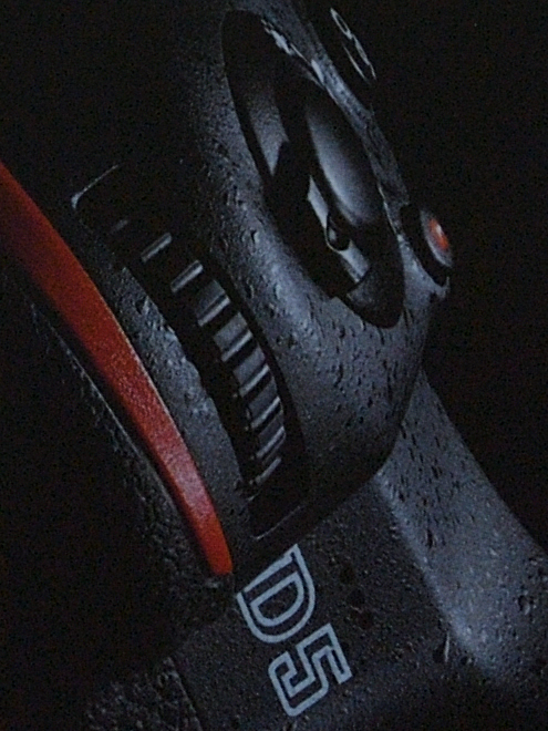 D5D 1599 crop+2EV